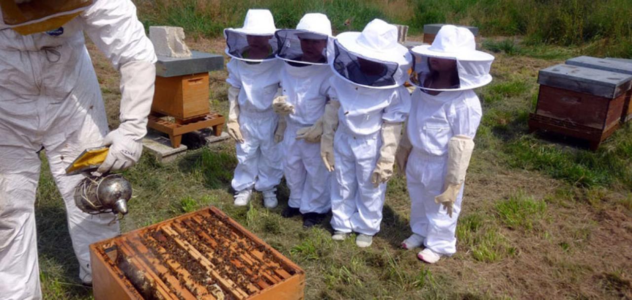  - Donosimo program sedmog kongresa o pčelarstvu i pčelinjim proizvodima