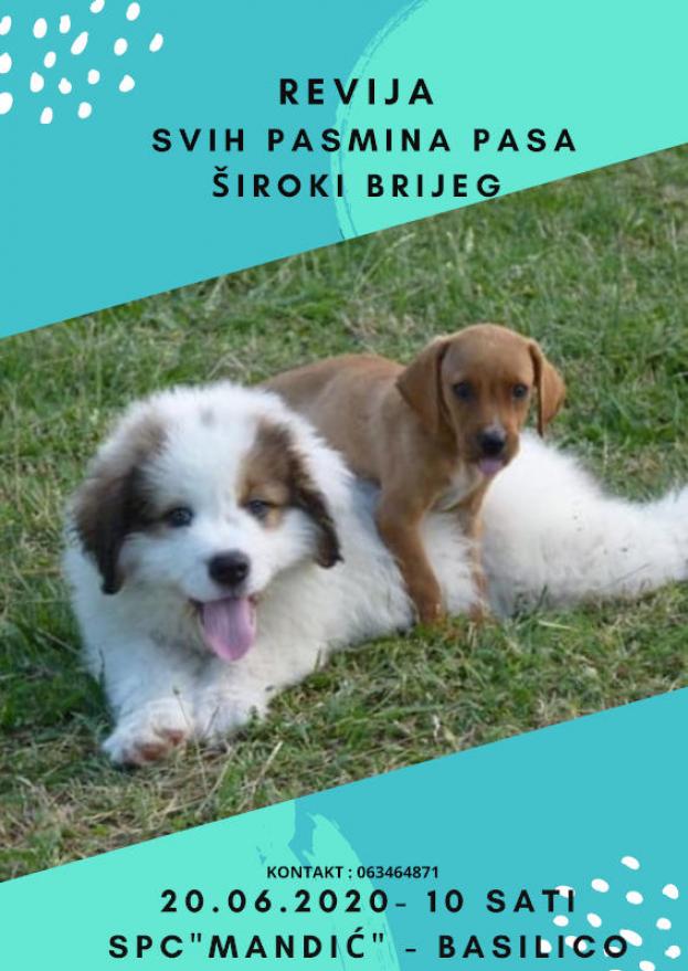 Najavni plakat revije - CAC  u Širokom Brijegu: Revija svih pasmina pasa i Specijalna izložba za goniče