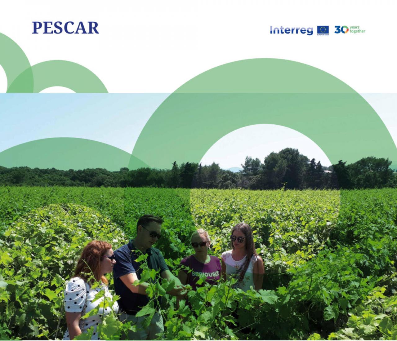 Projekt PESCAR - Projekt PESCAR u dobrom društvu: Obilježavanje 30 godina Interreg programa
