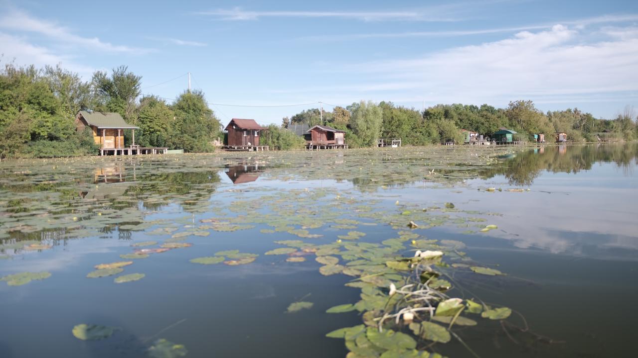 Jezero Bardača: Raj koji nestaje zahvaljujući nemarnoj vlasti i  privatizaciji / Bljesak.info | BH Internet magazin