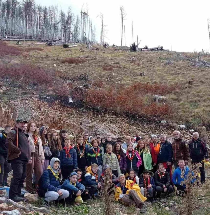 Akcija pošumljavanja na Rujištu - Na Rujištu posadili 3000 sadnica crnog bora: Savez izviđača Grada Mostara