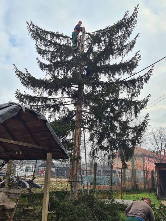 Pripremni radovi u Tuzli za proljetnu sezonu - Pripremni radovi za proljetnu sezonu: Orezivanje stabala, uređenje parkovskih površina, održavanje higijene grada