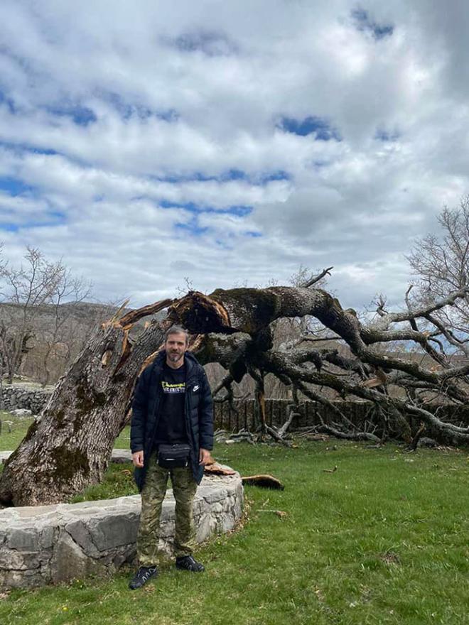 O akciji sadnje pisao je na Facebooku Antonio Zelenika - Bura na Bilima srušila jedno od najstarijih stabala hrasta: Danas zasađena nova stabla
