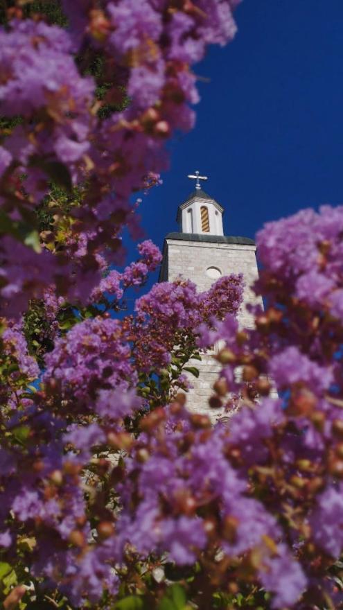 Manastirski zvonik - Najbolja studentica turizma laganim koracima korača kroz istoriju