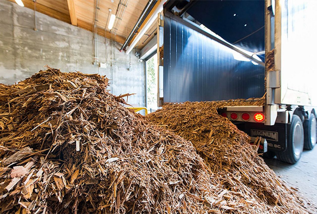 Biomasa rješenje za drvni otpad u Hercegovini