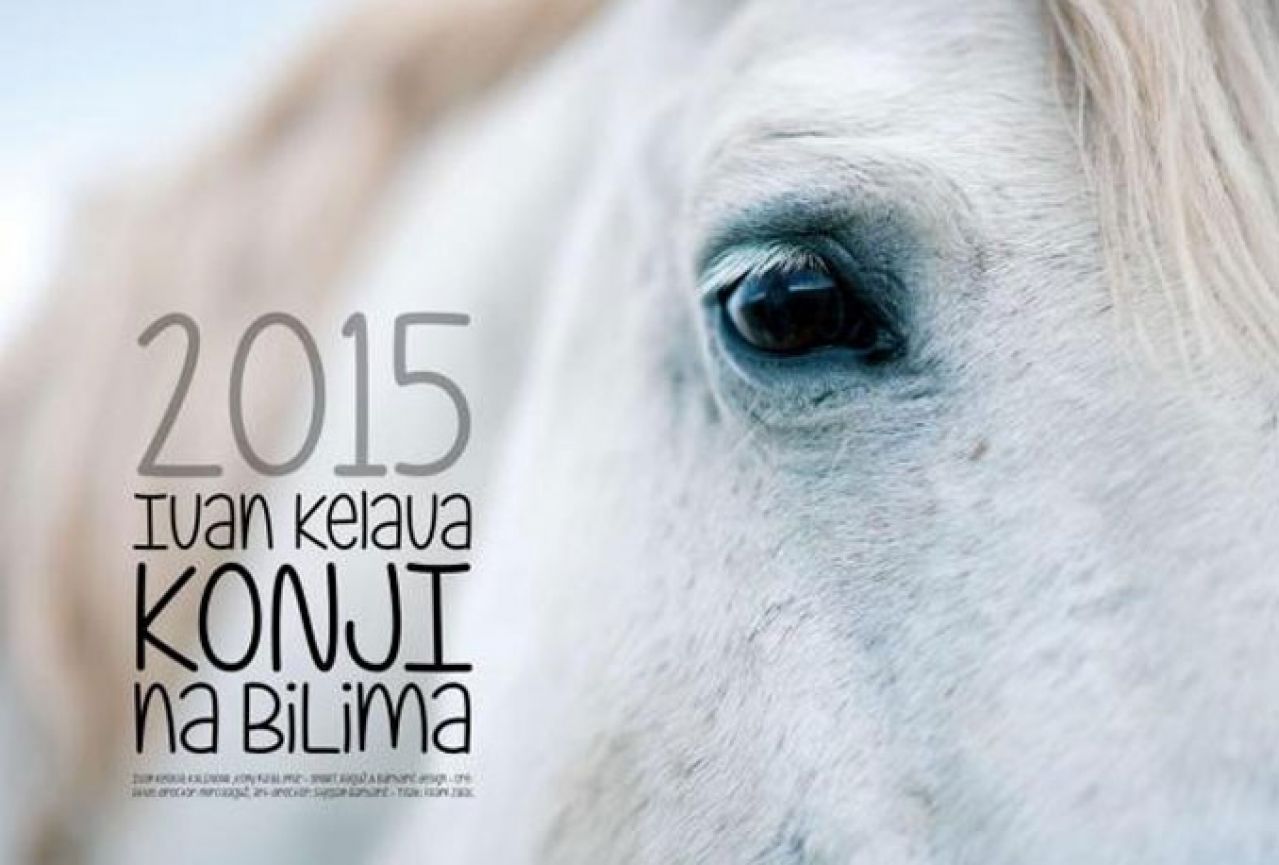 Kalendar za pomoć divljim konjima na Bilama 