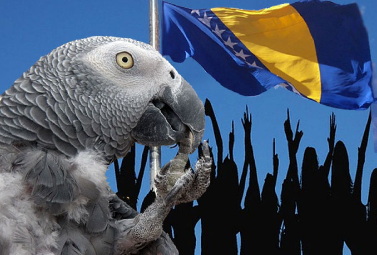 Politički papagaji i naše pamćenje
