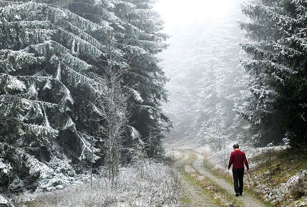 BiH: Snijeg se počeo zadržavati na krošnjama stabala