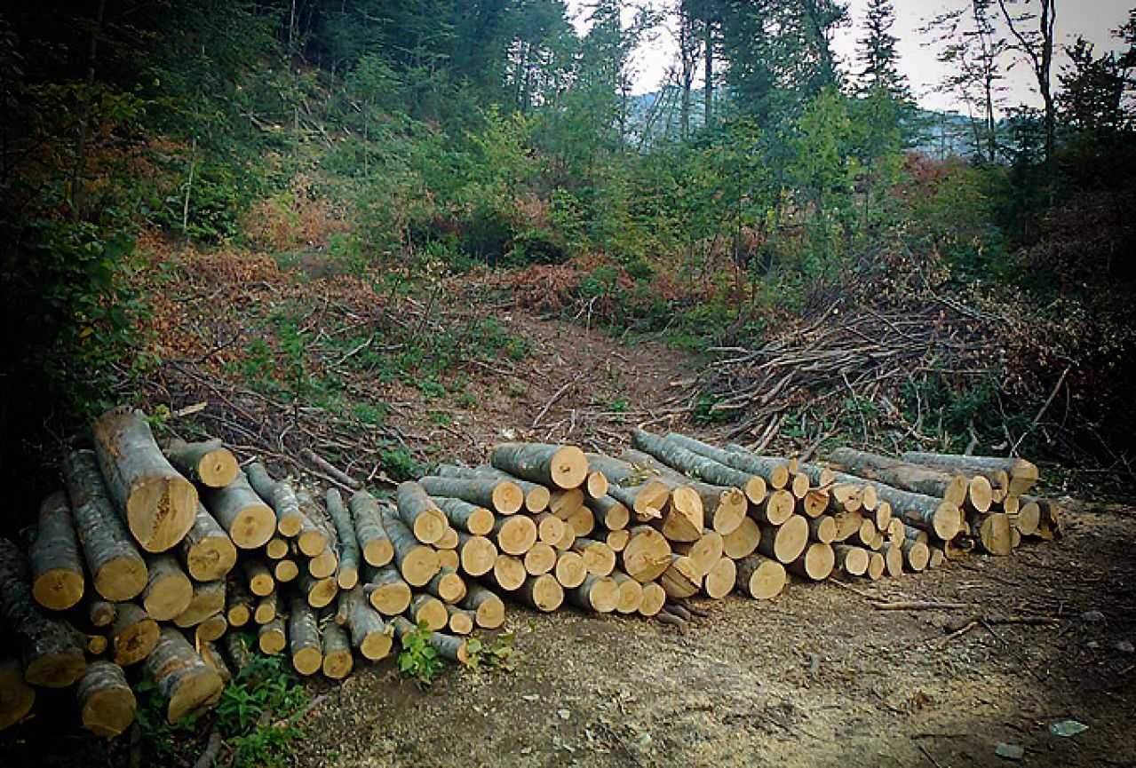 Federalne šume ostaju 'u zraku'