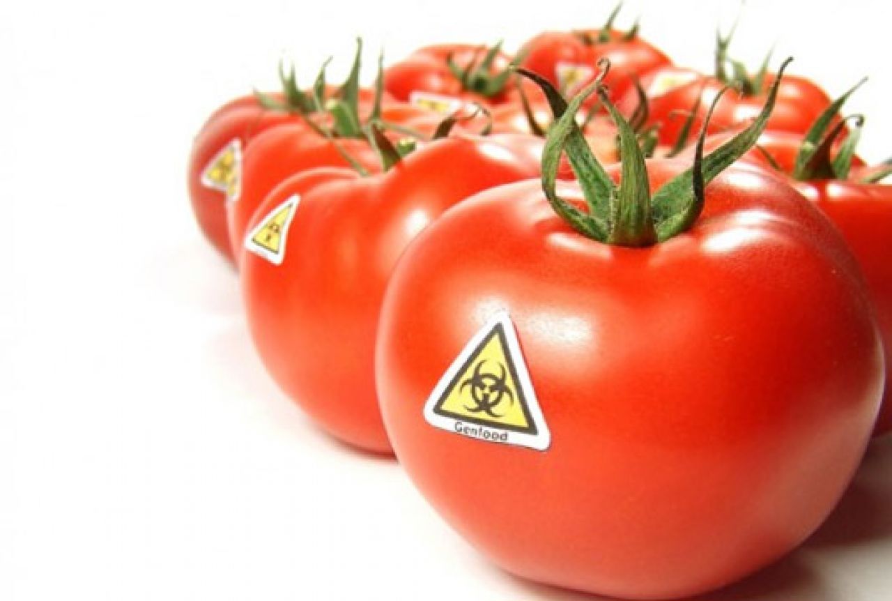Čak 67 posto hrane u BiH pozitivno na GMO