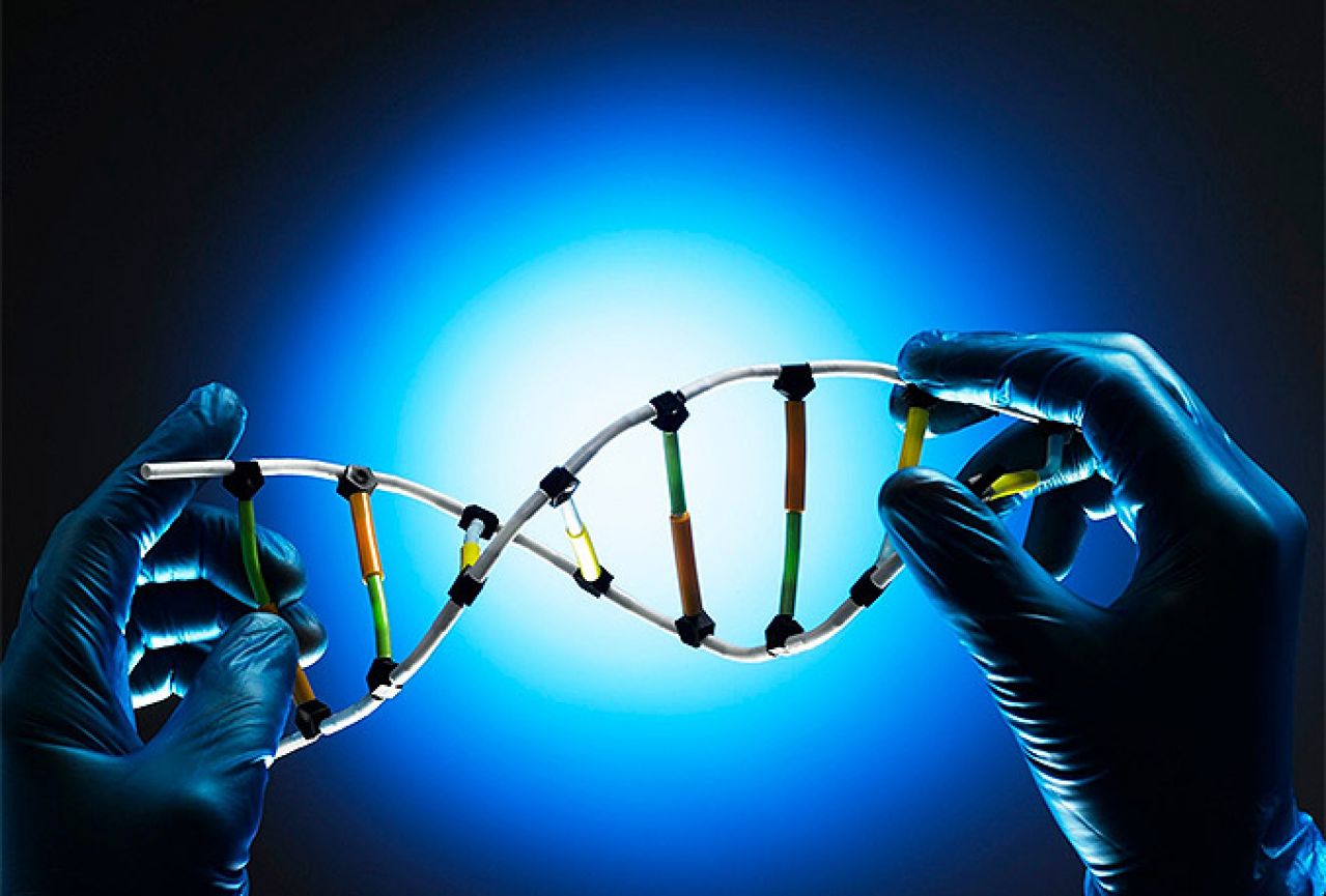 Više koristimo DNK od očeva nego od majki