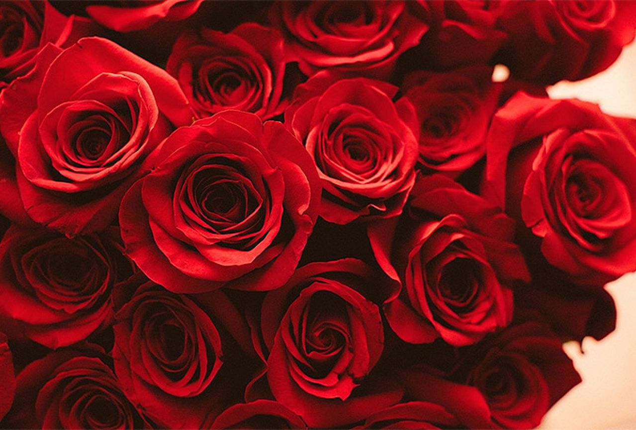 Uoči Dana žena: Ukradeno oko 600 ruža i 700 karanfila
