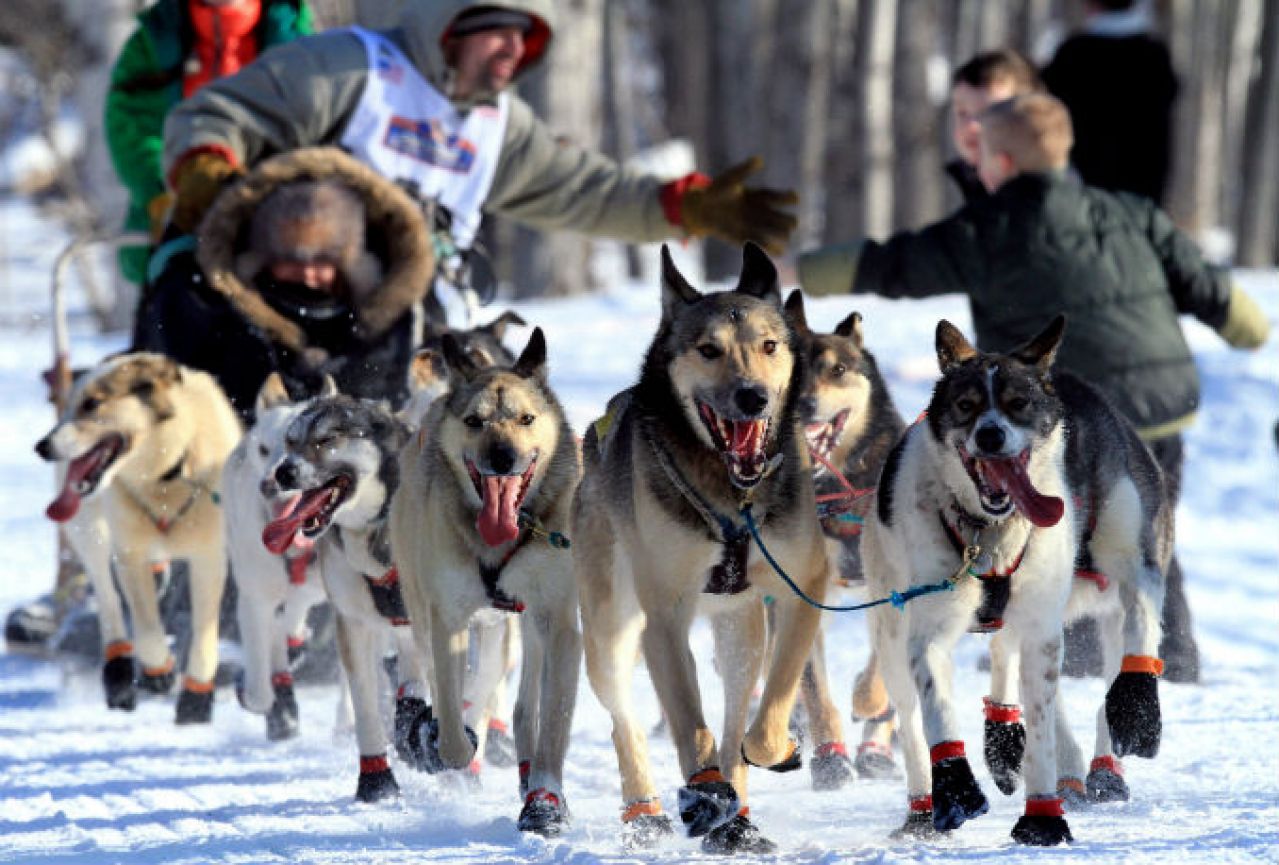 Klimatske promjene otežavaju Iditarod – najtežu utrku na svijetu