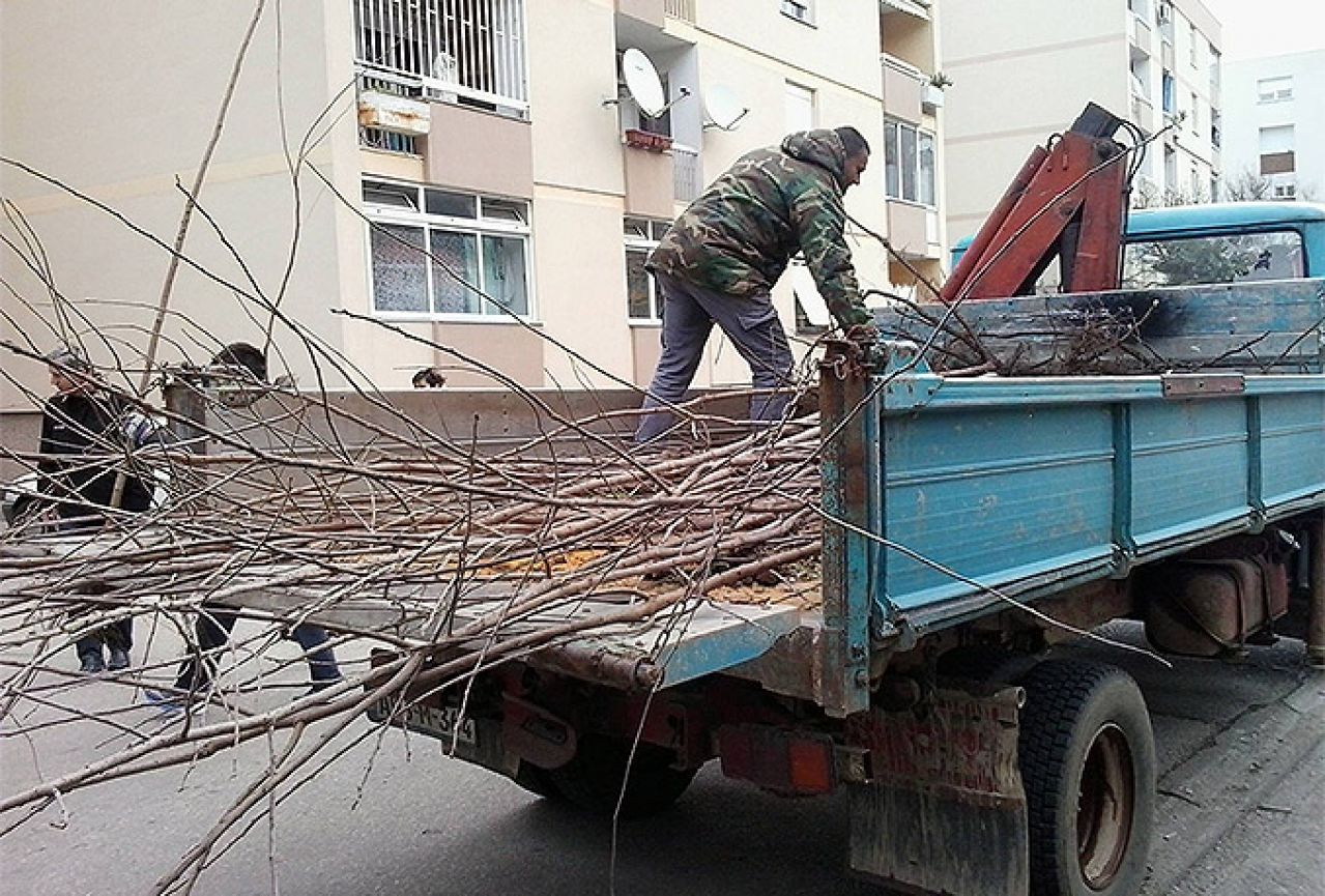 Japanska jabuka za ljepši Mostar