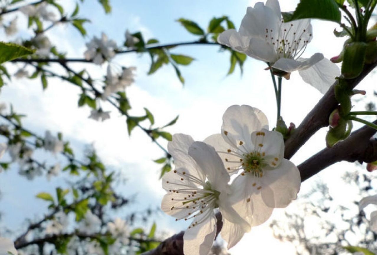 U Mostaru ugrijalo: Temperatura 16 stupnjeva