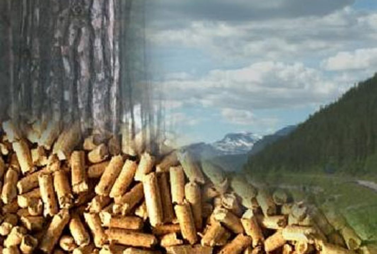 Drvna industrija je jedina suficitarna grana industrije u BiH