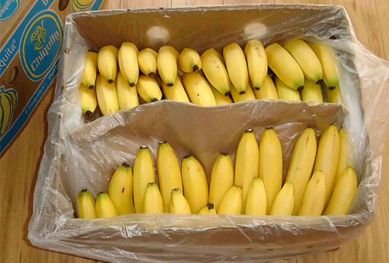 Banane punjene kokainom otkrivene u Lidl trgovini