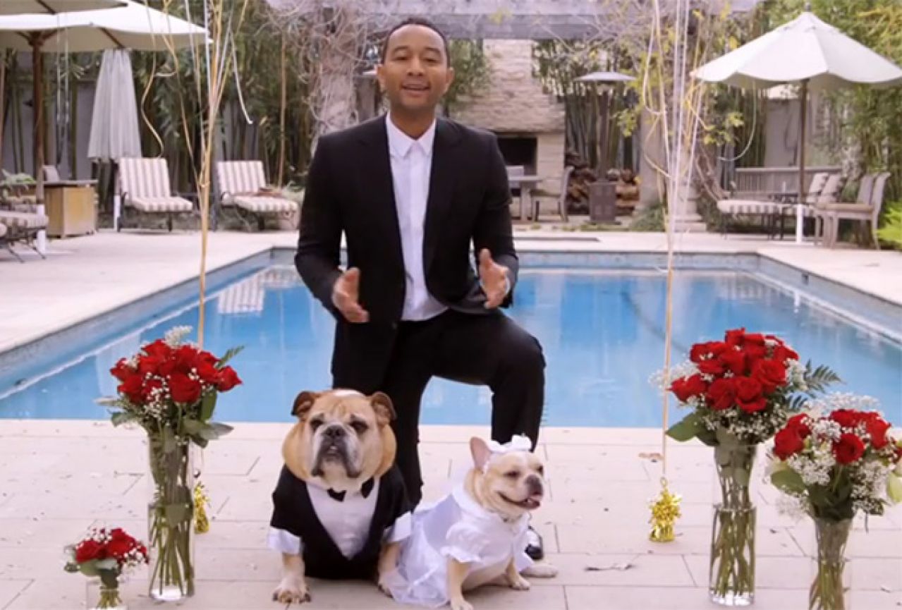 John Legend pjevao na psećoj svadbi