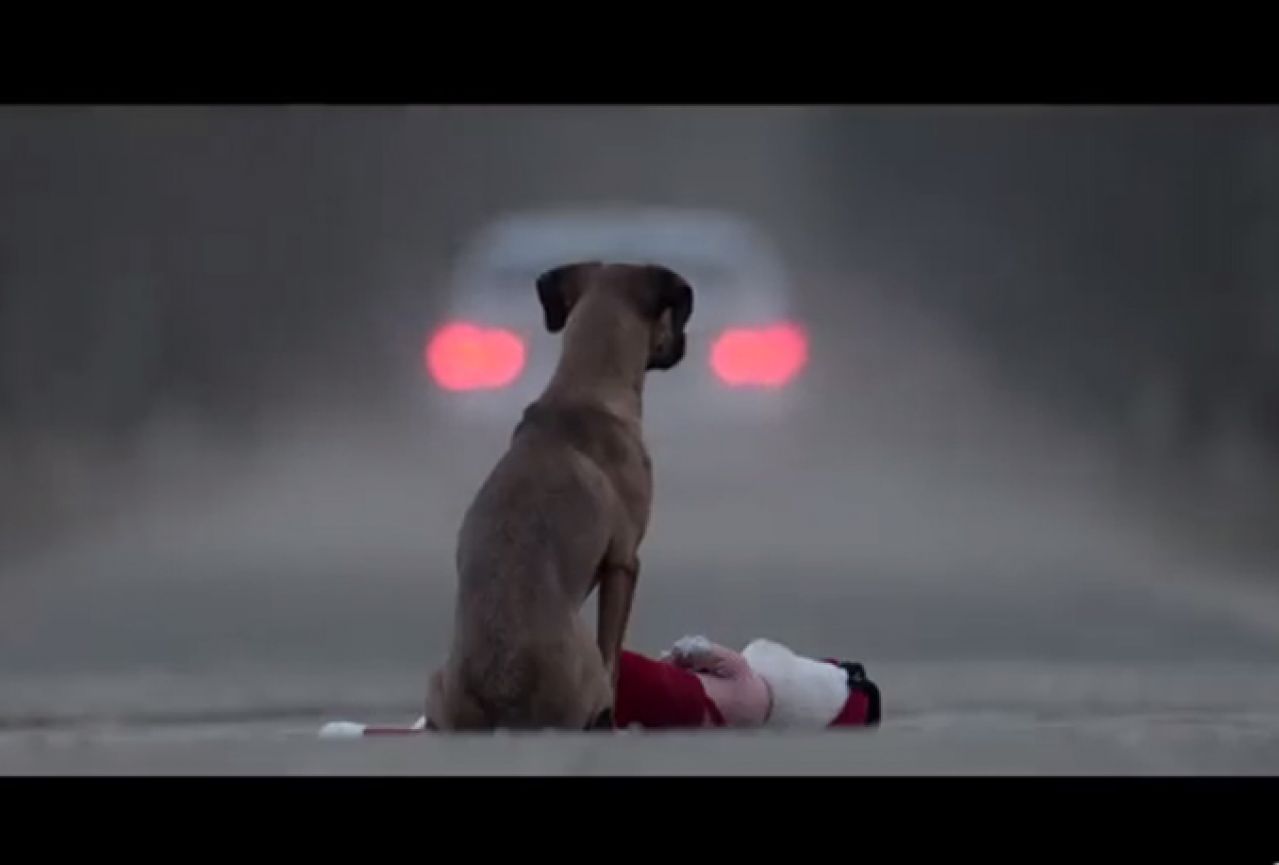 Pogodio milijune: Video nakon kojeg ćete shvatiti da pas nije igračka!