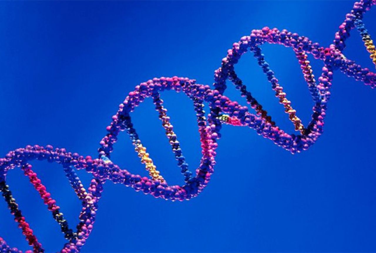 Kinezi izmijenili genome ljudskih embrija