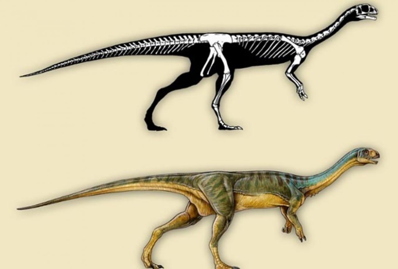 Chilesaurus Diegosuarezi: Novi dinosaur zbunjuje znanstvenike