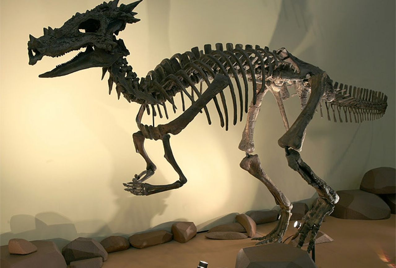 U Kini pronađen fosil dinosaura star blizu 126 milijuna godina