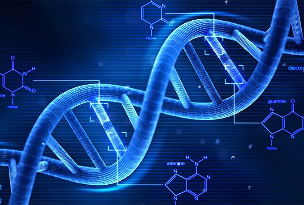 DNK se mijenja po godišnjim dobima?