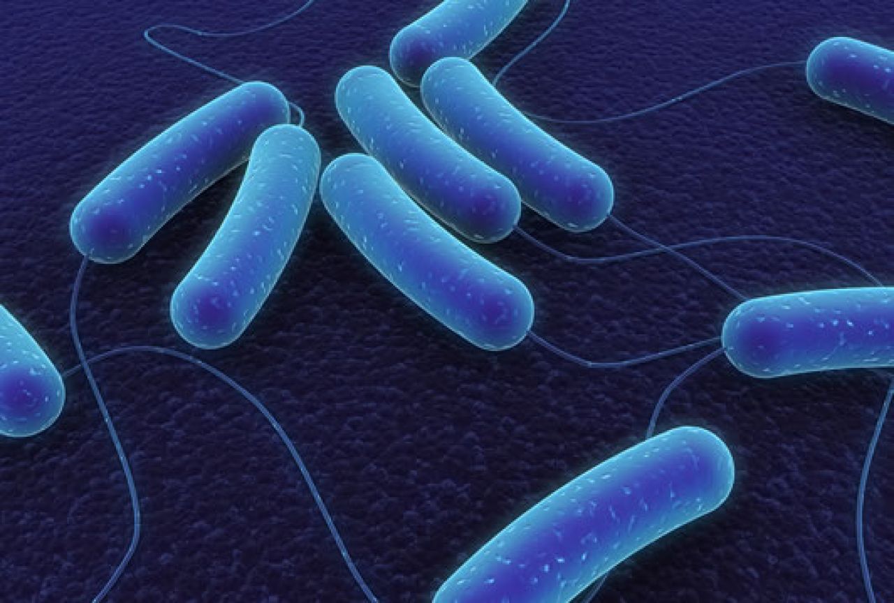 Potraga za novim lijekom: Bakterije će ubijati 10 milijuna ljudi godišnje