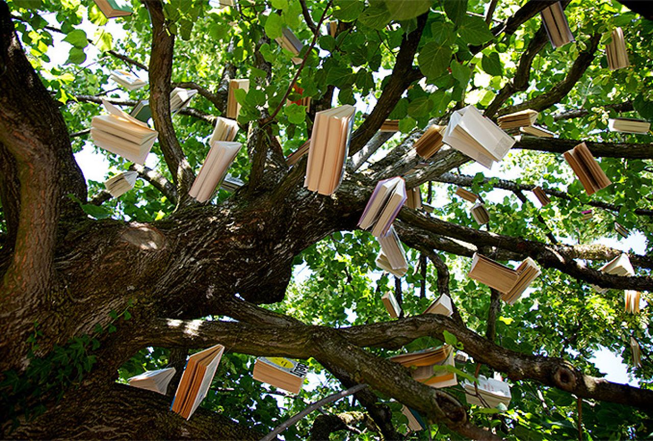 Mostarski mališani će moći ubrati svoju priču s drveta