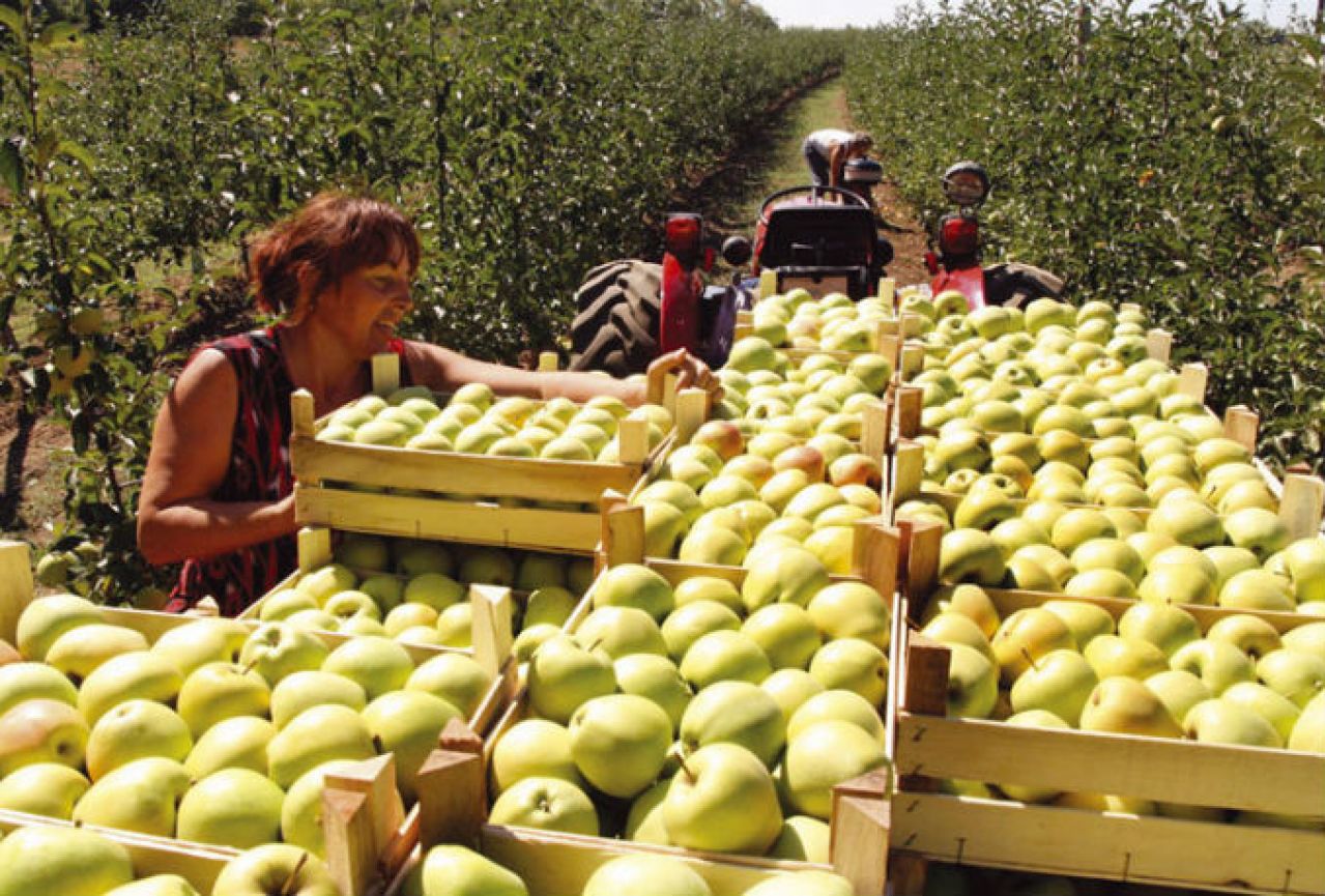 Italija traži sezonske radnike s Balkana, al' postoji kvaka