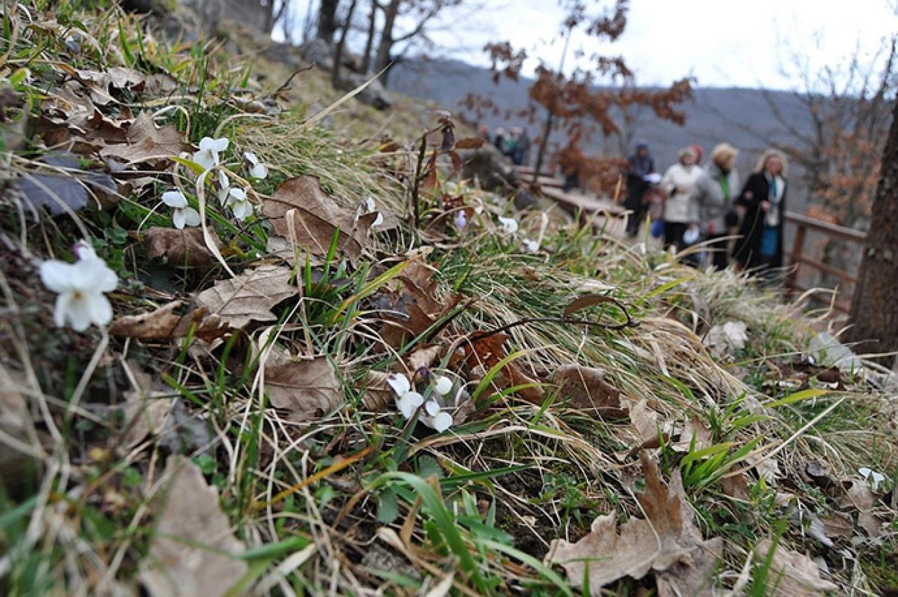 U Nacionalnom parku Una pripreme za selektivno odlaganje otpada