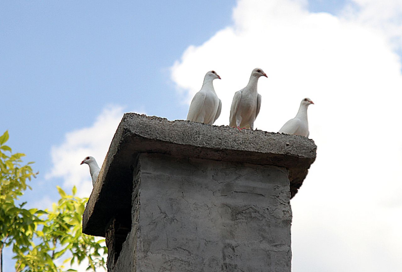 Papini golubovi se vratili u Mostar