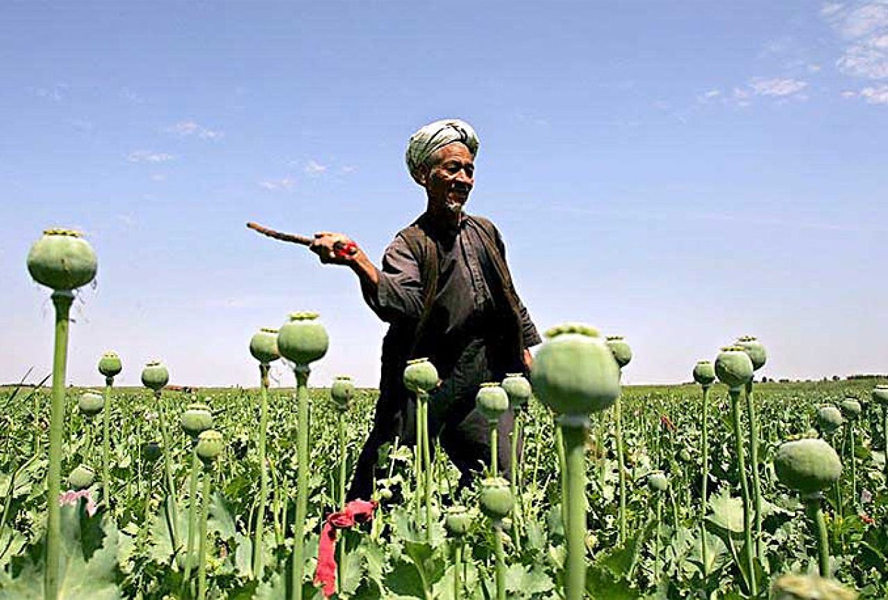 Rekordna potrošnja opijuma u svijetu