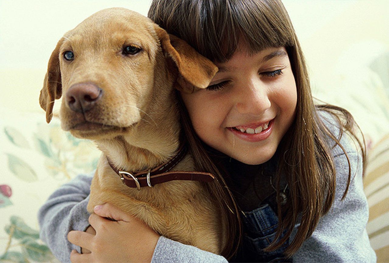  Istraživanje dokazalo ono što vlasnici već znaju: Vaš pas uvijek drži vašu stranu