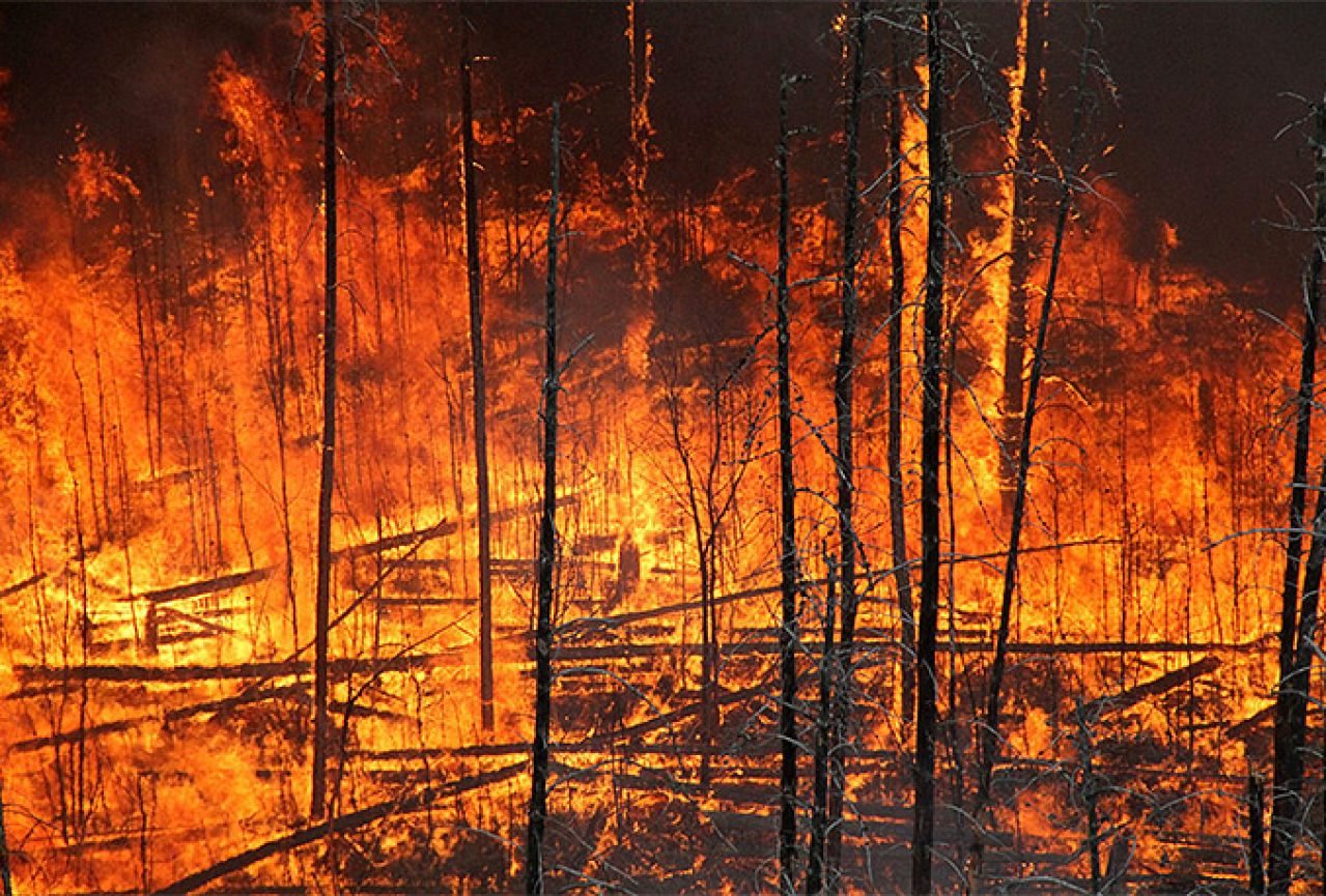 Podmetnuti požar na Pelješcu progutao 70-ak hektara šume