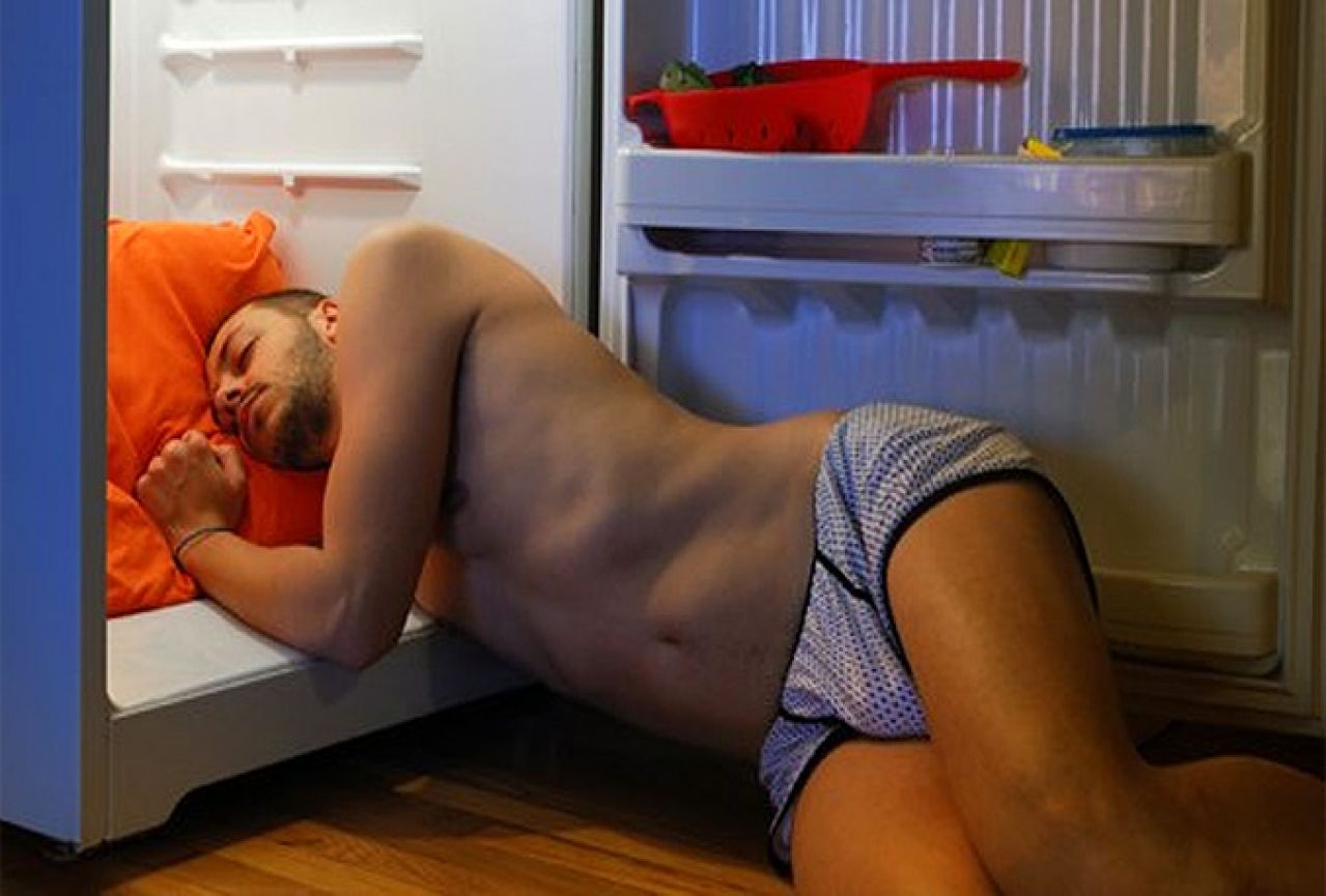 Спит в холодильнике