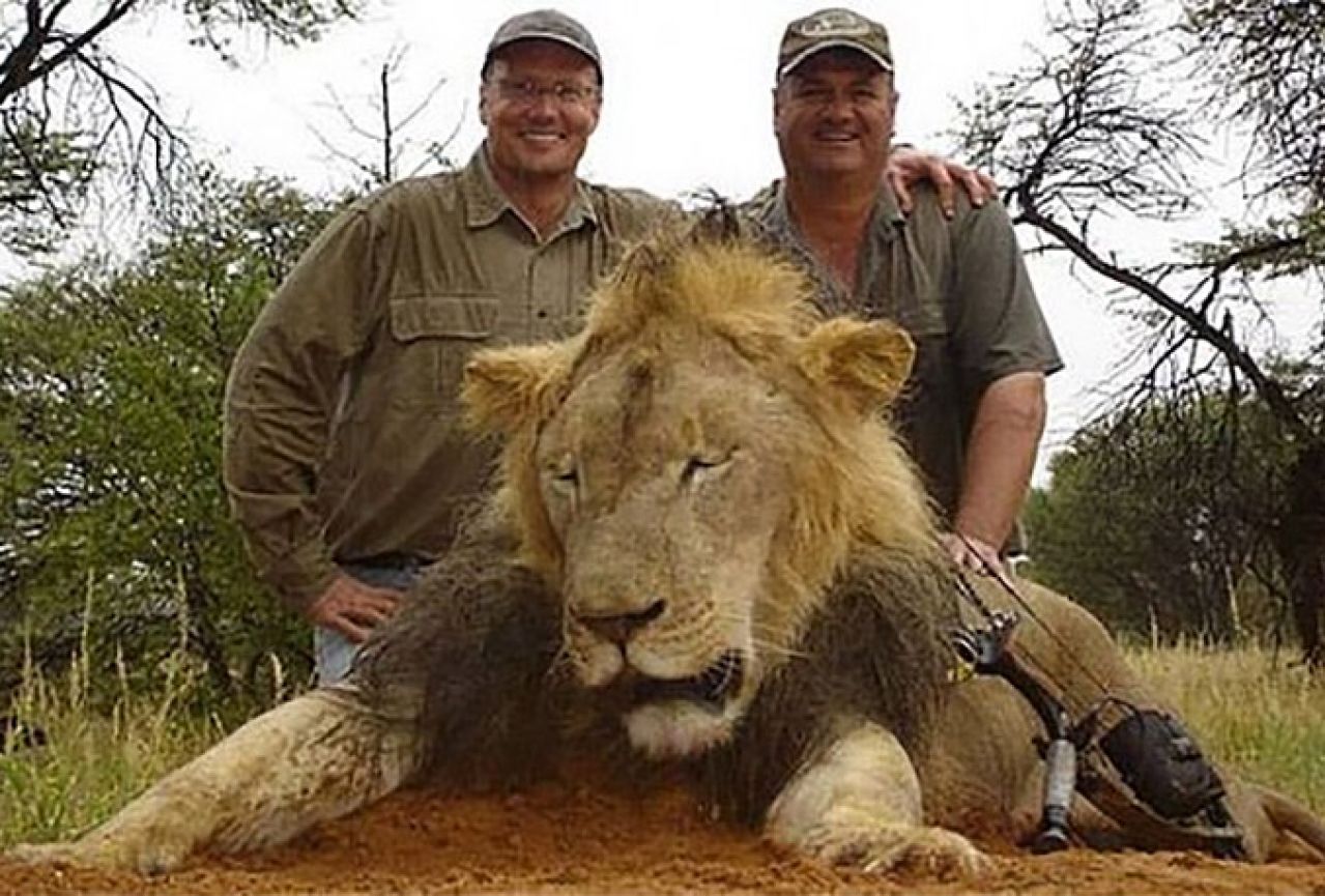 Američki zubar optužen za ubojstvo lava tvrdi da nije znao da se radilo o omiljenom Cecilu
