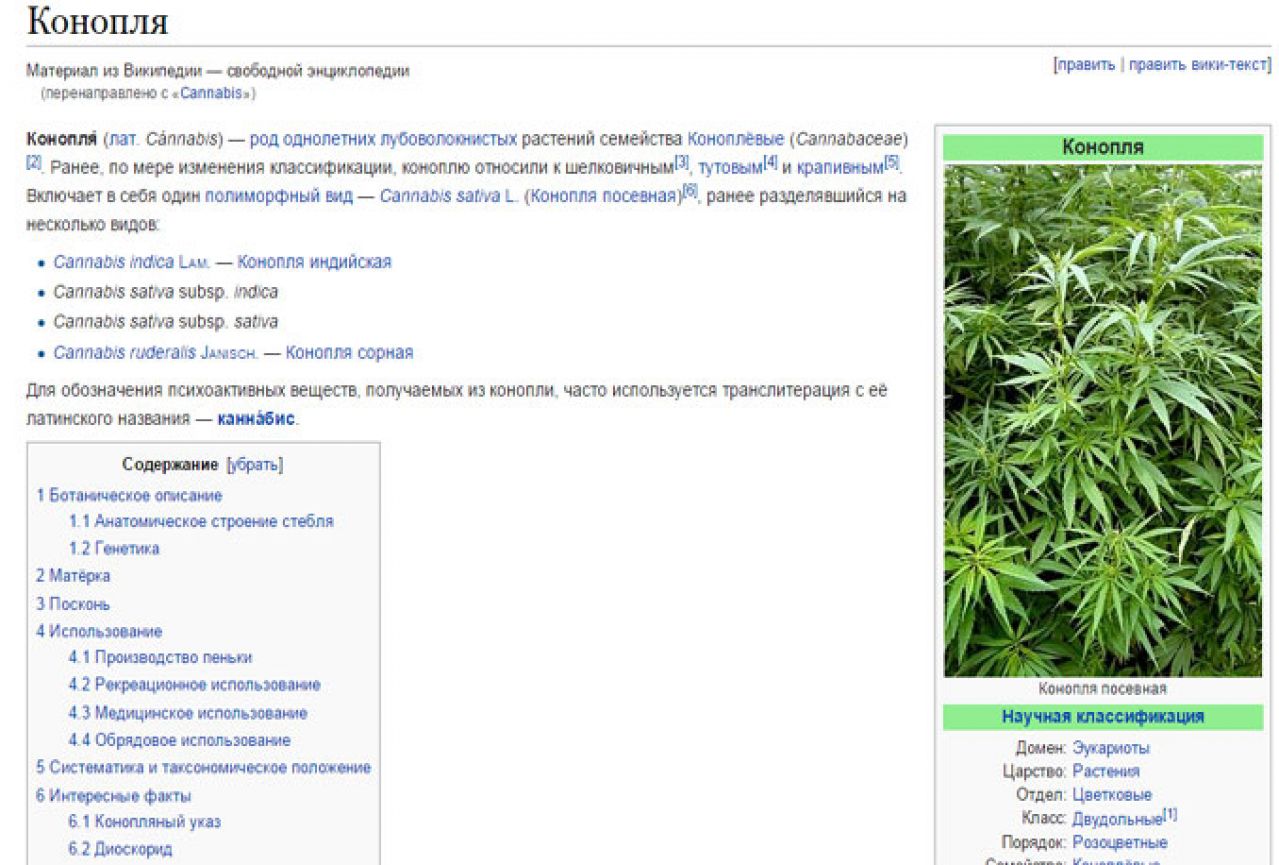 Rusija prijeti da će blokirati Wikipediu zbog stranice o cannabisu