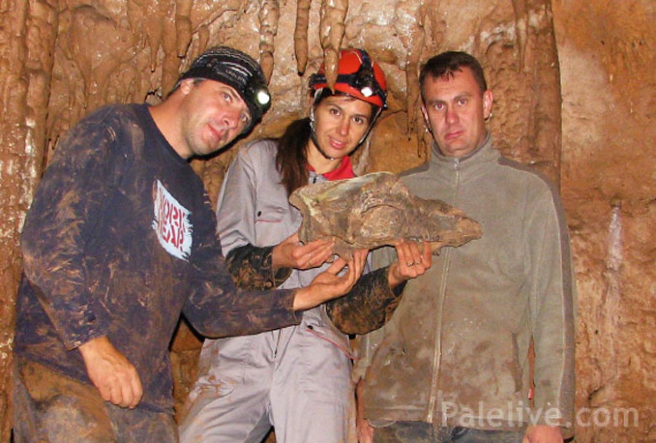 U pećini Orlovača pronađena lobanja medvjeda stara 16.000 godina