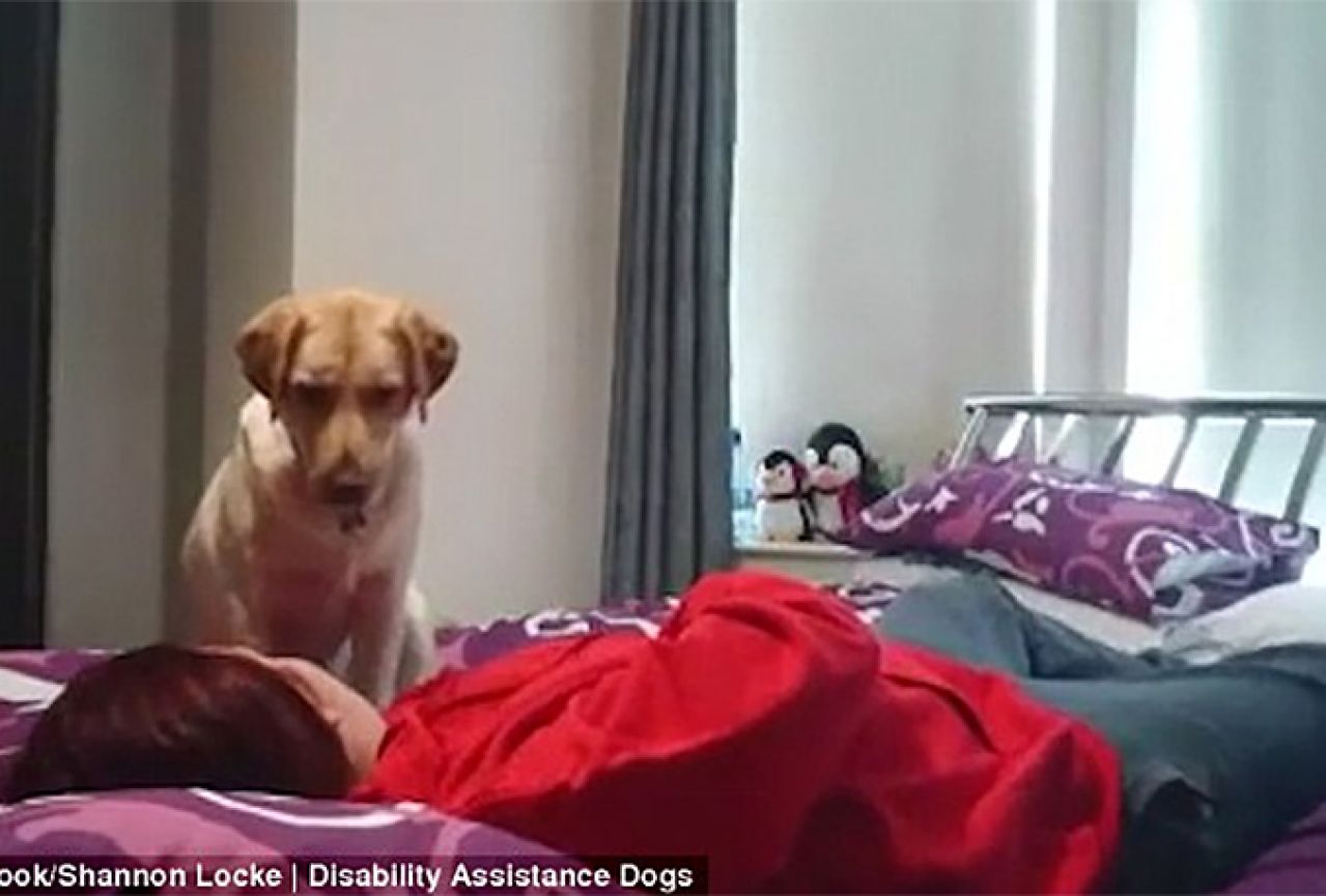 Pas upozorio djevojku da će dobiti napad epilepsije i pomogao joj da se osvijesti