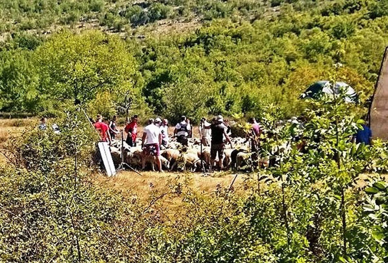 Monica Belluci se sakrila među 500 ovaca u hercegovačkom selu