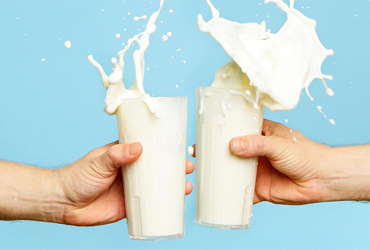 Prosvjedi proizvođača mlijeka 