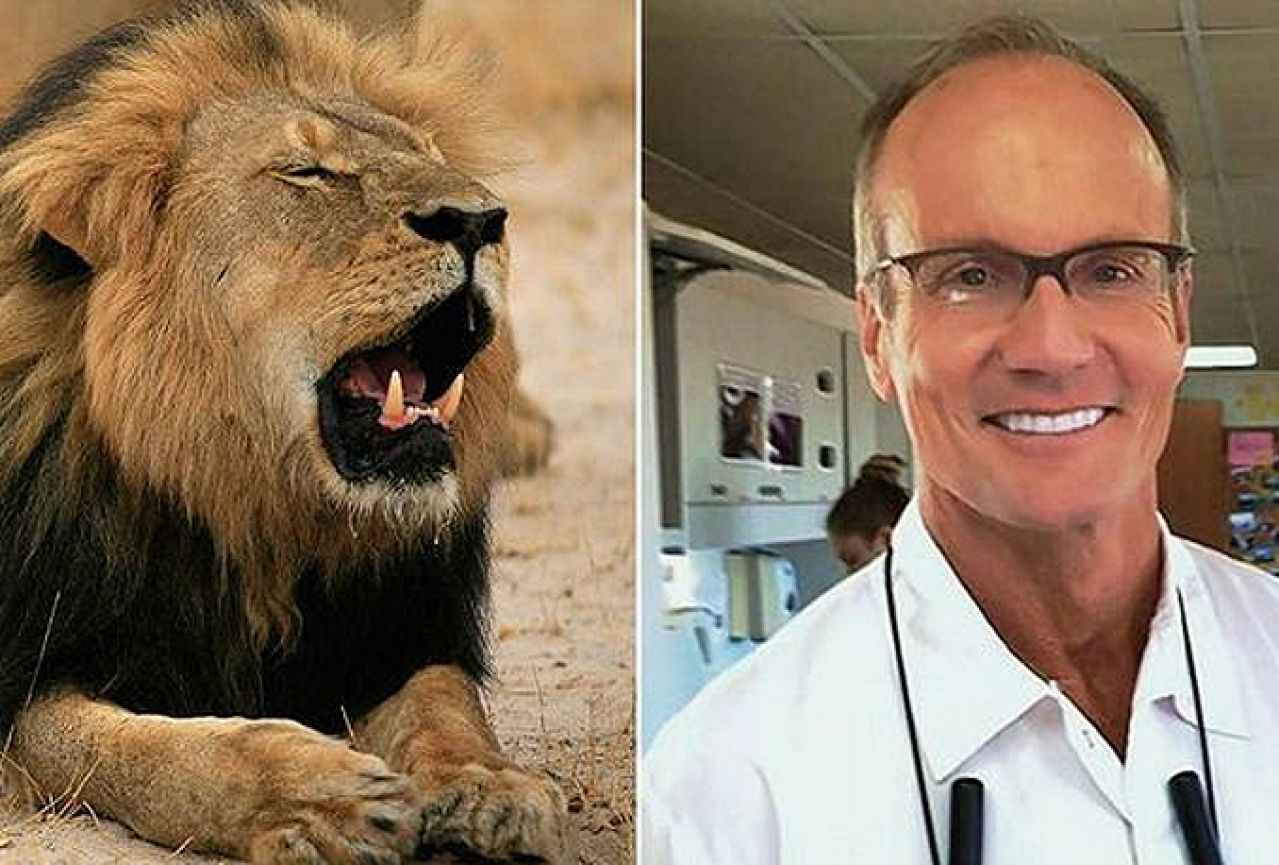Američki zubar koji je ubio lava opet na poslu