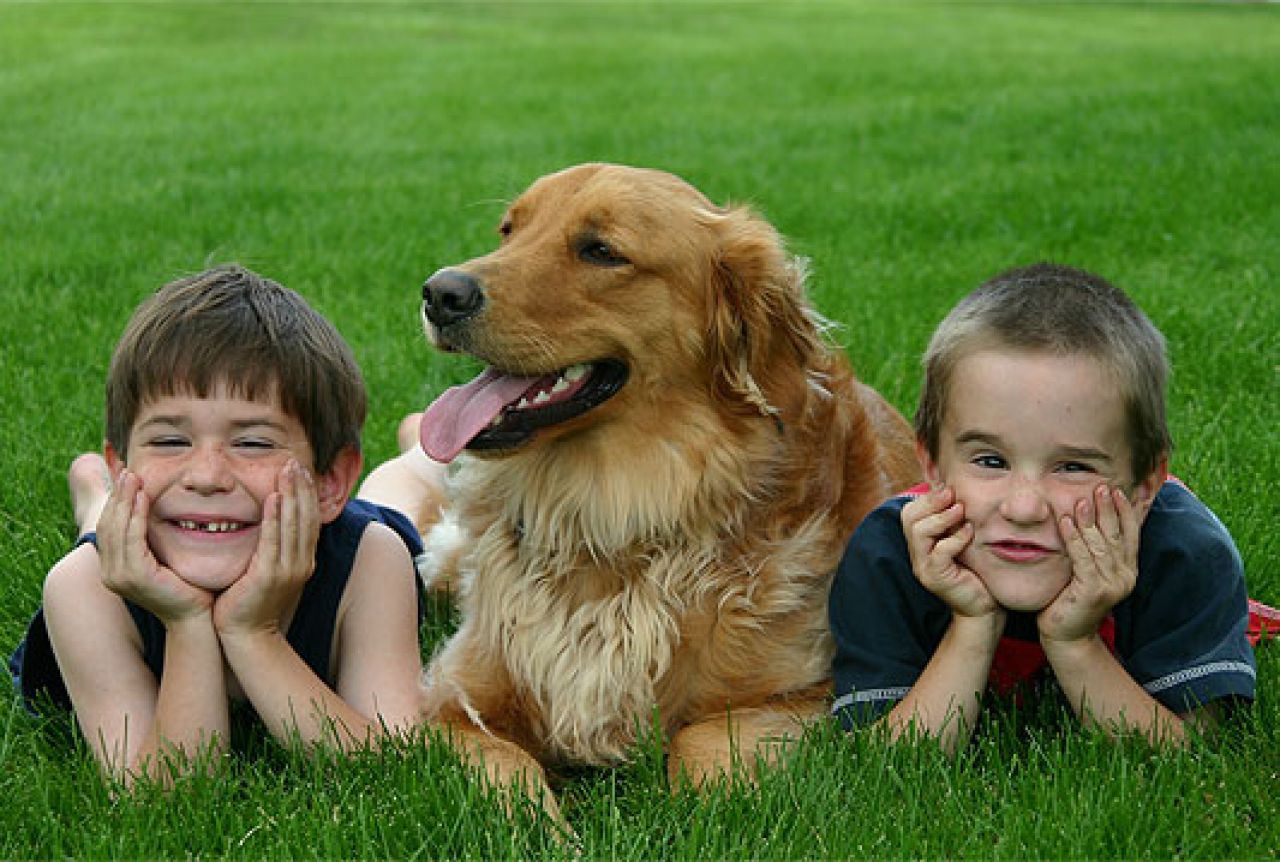 Djeci koja imaju pse kao kućne ljubimce prijeti manji rizik za astmu