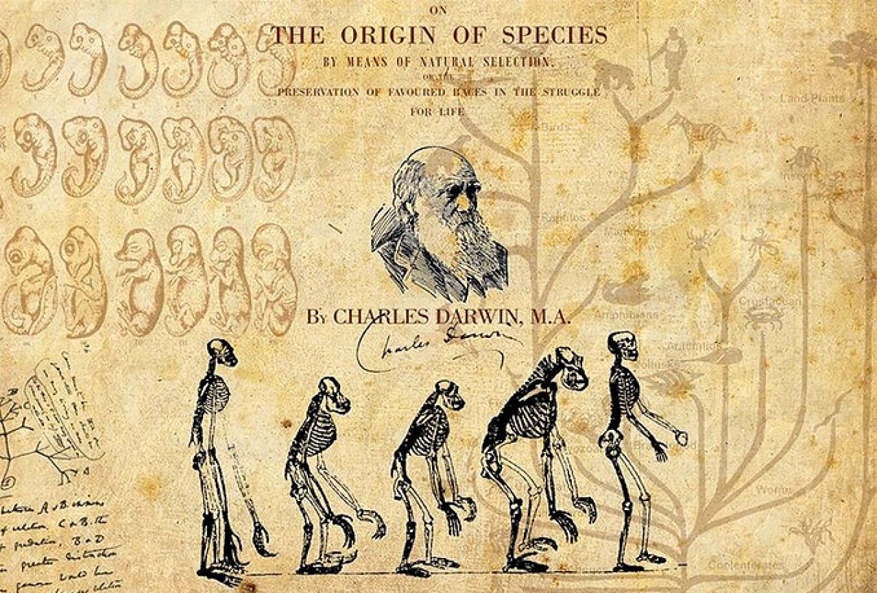 Darvinova knjiga "O porijeklu vrsta" najutjecajnija akademska knjiga