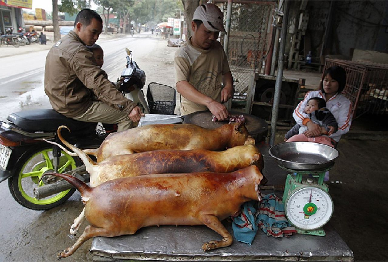 U Sarajevu jedu pse: Kinez najavio otvaranje fast fooda