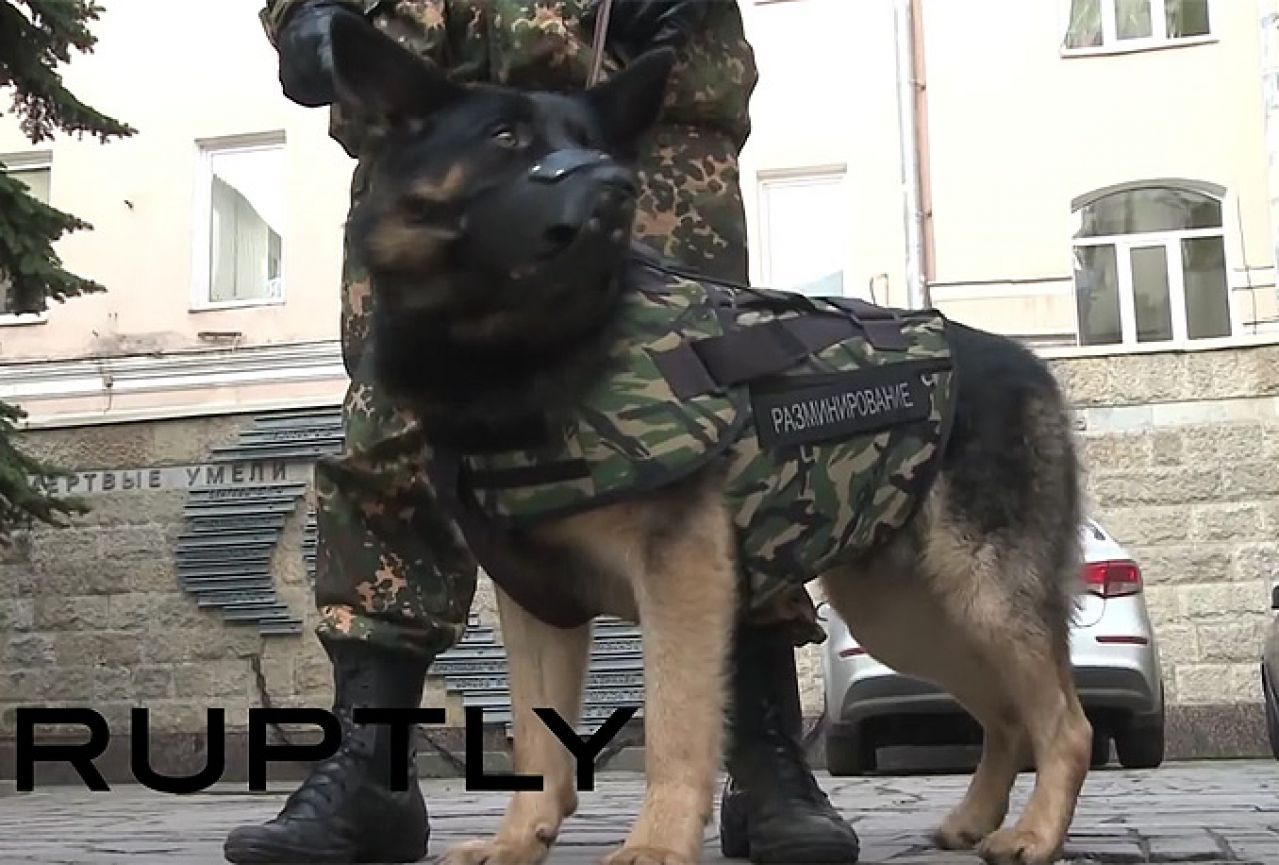 Rusi predstavili pancir za policijske pse