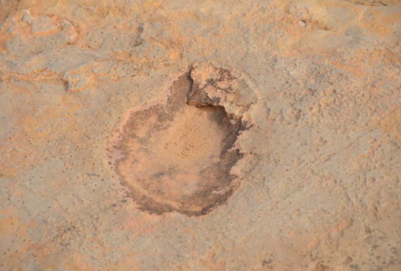 Tunis: Znanstvenici otkrili 100 otisaka stopala dinosaura