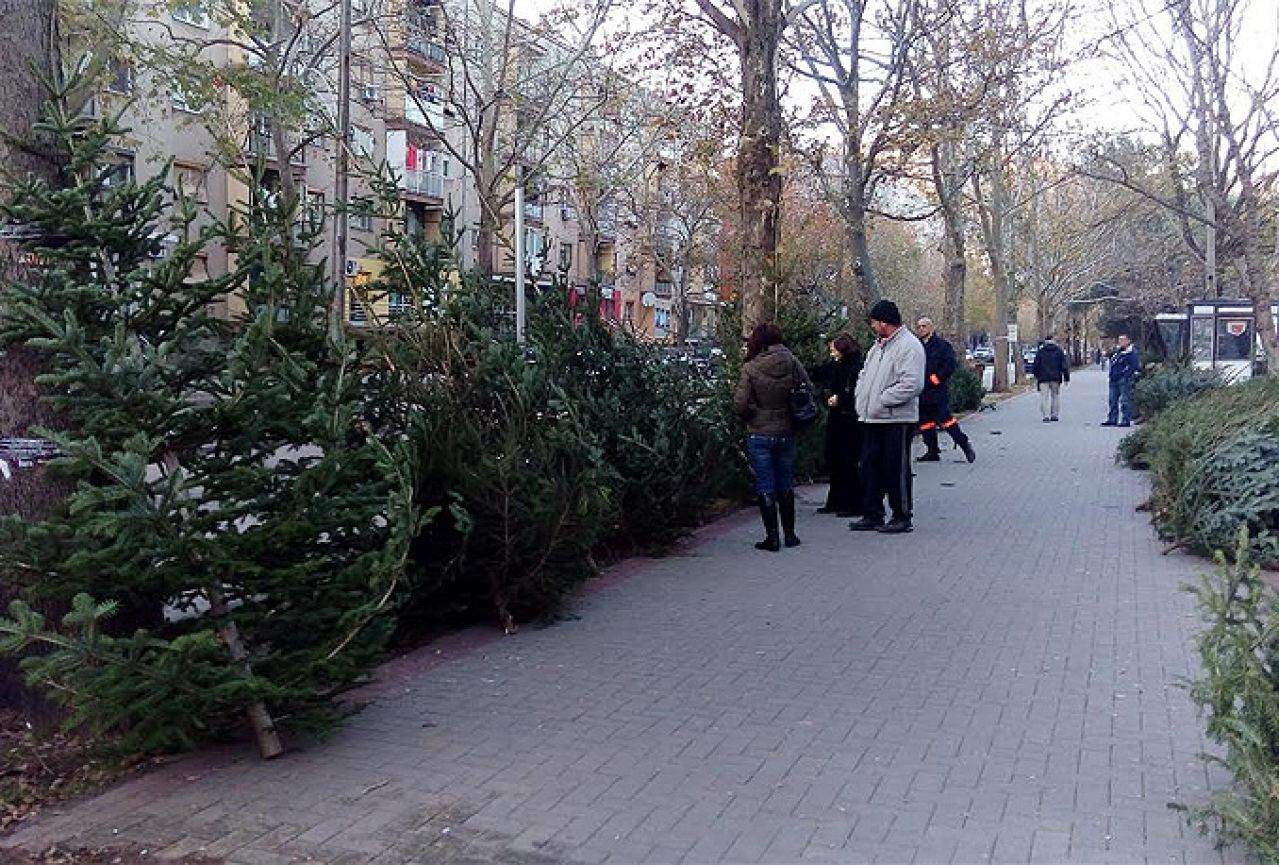 Na ulicama Mostara počela prodaja prirodnih božićnih jelki
