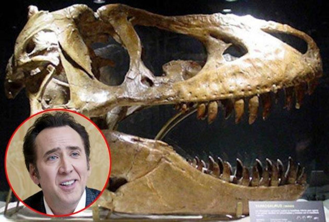 Nicolas Cage vraća ukradenu lubanju dinosaura vlastima